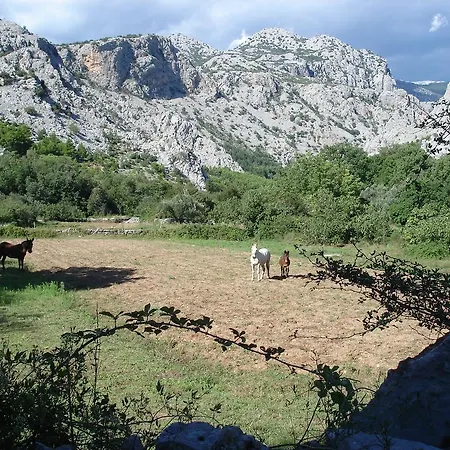 Paklenica Дом отдыха