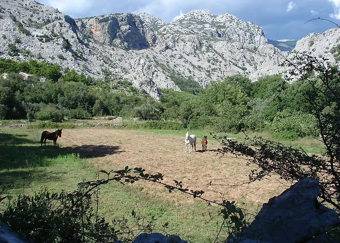 Paklenica בית נופש