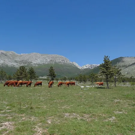Holiday home Holiday Paklenica Starigrad Paklenica